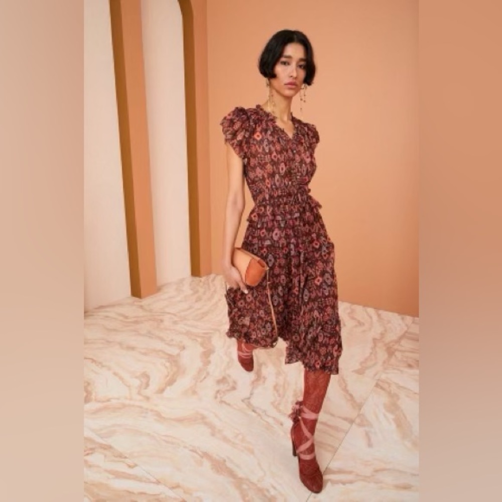 NWOT Ulla Johnson Emine Dress 8